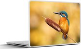 Sticker pour ordinateur portable - 14 pouces - Martin-pêcheur - Nature - Vogel - 32x5x23x5cm - Autocollants pour ordinateur portable - Skin pour ordinateur portable - Housse