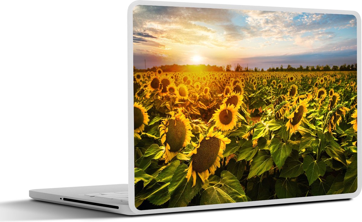 Laptop sticker - 14 inch - Bloemen - Zonnebloem - Lucht - 32x5x23x5cm - Laptopstickers - Laptop skin - Cover