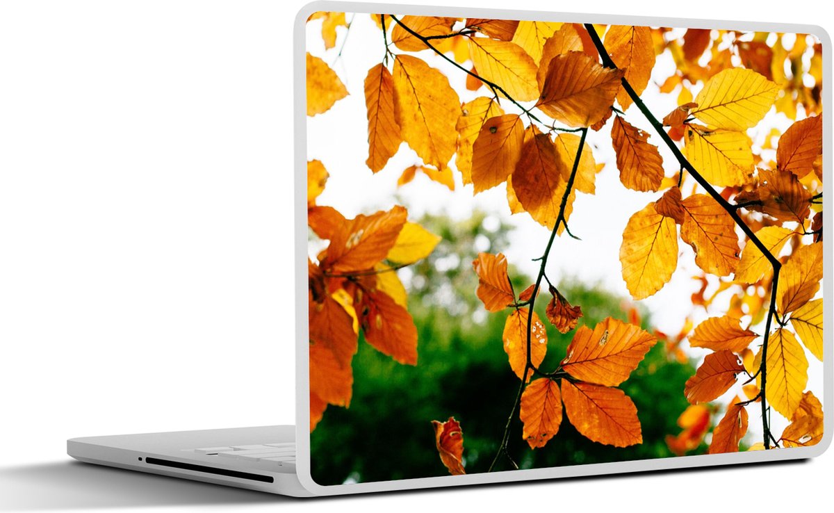 Laptop sticker - 17.3 inch - Herfstbladeren - Boom - Landelijk - 40x30cm - Laptopstickers - Laptop skin - Cover
