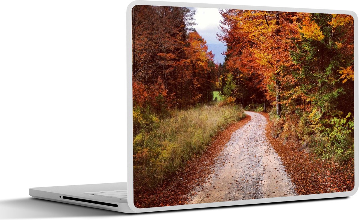 Laptop sticker - 17.3 inch - Herfst - Herfstbladeren - Pad - Bos - 40x30cm - Laptopstickers - Laptop skin - Cover