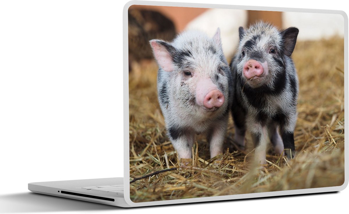 Laptop sticker - 11.6 inch - Varken - Dieren - Varkentje - 30x21cm - Laptopstickers - Laptop skin - Cover