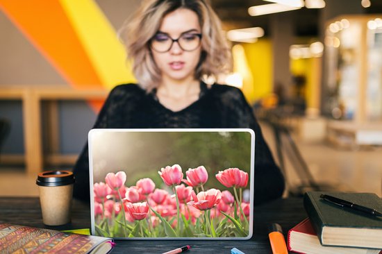 Sticker ordinateur portable - 11,6 pouces - Tulipes - Soleil - Printemps