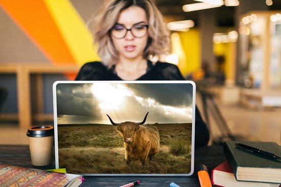 Laptop sticker - 15.6 inch - Schotse Hooglander - Zon - Dieren - 36x27,5cm - Laptopstickers - Laptop skin - Cover