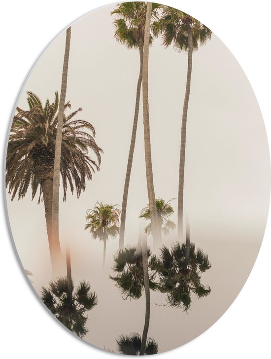 WallClassics - PVC Schuimplaat Ovaal - Smalle Palmbomen met Weerspiegeling - 42x56 cm Foto op Ovaal  (Met Ophangsysteem)