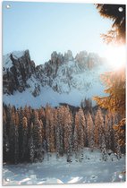 WallClassics - Tuinposter – Zonnestralen over Kleine Boompjes in Sneeuwlandschap - 60x80 cm Foto op Tuinposter  (wanddecoratie voor buiten en binnen)