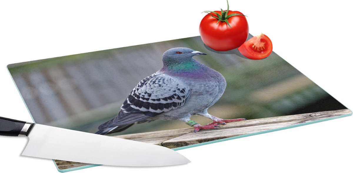 Glazen Snijplank - 39x28 - Duif - Vogel - Paars - Veren - Snijplanken Glas