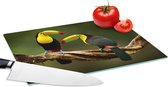 Glazen Snijplank - 28x20 - Vogels - Toekan - Tak - Dieren - Regenboog - Snijplanken Glas