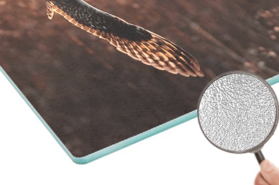 Planche à découper en Verres - 39x28 - Vogel - Hibou - Coucher de soleil - Nature - Planches à découper en Glas