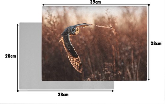Planche à découper en Verres - 39x28 - Vogel - Hibou - Coucher de soleil - Nature - Planches à découper en Glas