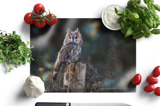 Planche à découper en Verres - 39x28 - Hibou - Automne - Vogel - Branches - Planches à découper en Glas