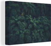 Toile forêt vierge 2cm 40x30 cm - petit - Tirage photo sur toile (Décoration murale salon / chambre)