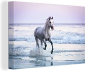 Un cheval blanc galope sur la toile de la plage de Santa Barbara 120x80 cm - Tirage photo sur toile (Décoration murale salon / chambre) / Peintures sur toile animaux de la ferme