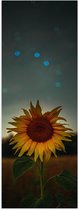 WallClassics - Poster Glanzend – Close up van Zonnebloem met Blauwe Lichtjes - 20x60 cm Foto op Posterpapier met Glanzende Afwerking