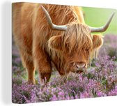Tableau sur toile Scottish Highlander - Violet - Fleurs - 40x30 cm - Décoration murale