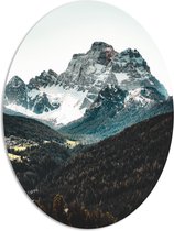 WallClassics - PVC Schuimplaat Ovaal - Bomen bij Rotsachtige Bergen - 81x108 cm Foto op Ovaal  (Met Ophangsysteem)
