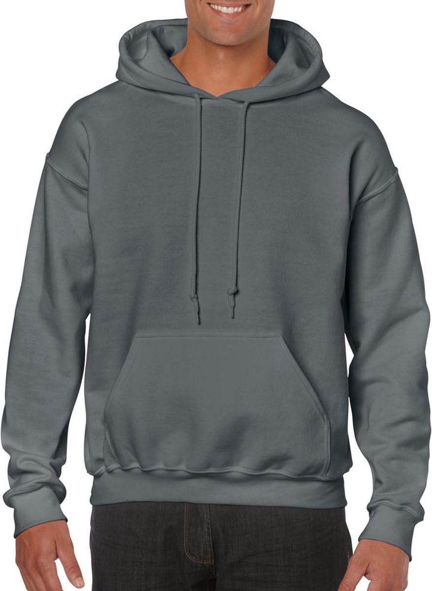 Hoodie - grijs - MEDIUM - sweater met kap