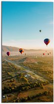 WallClassics - Dibond - Luchtballonnen zwevend door de lucht - 50x100 cm Foto op Aluminium (Wanddecoratie van metaal)