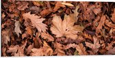 WallClassics - Dibond - Hoopje Herfstbladeren - 100x50 cm Foto op Aluminium (Met Ophangsysteem)