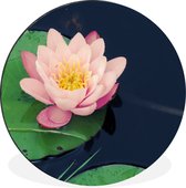 Magnifique nénuphar rose Cercle mural aluminium ⌀ 120 cm - Tirage photo sur cercle mural / cercle vivant / cercle jardin (décoration murale) XXL / Groot format!