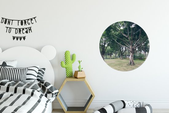 Arbre spécial en Guangzhou Wall cercle aluminium - ⌀ 60 cm - peinture ronde - impression photo sur aluminium / dibond / cercle mural / cercle vivant / cercle de jardin (décoration murale)