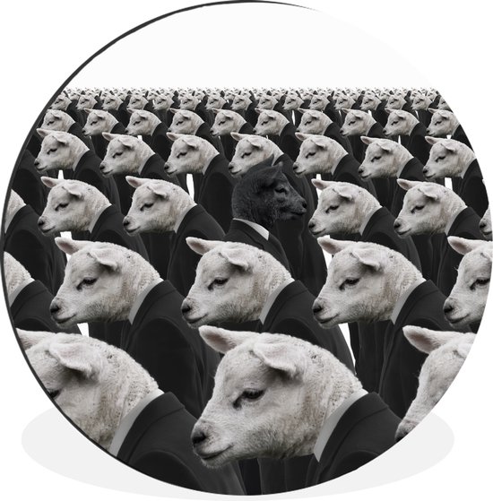 WallCircle - Wandcirkel - Muurcirkel - Zwart schaap tussen witte schapen - Aluminium - Dibond - ⌀ 90 cm - Binnen en Buiten