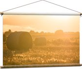 WallClassics - Affiche Textile - Balles de Foin au Pâturage - 90x60 cm Photo sur Textile