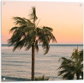 WallClassics - Tuinposter – Hoge Palmbomen bij Zee - 80x80 cm Foto op Tuinposter  (wanddecoratie voor buiten en binnen)