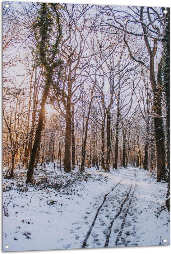 Foto: Wallclassics tuinposter kale bomen in bos tijdens winter 80x120 cm foto op tuinposter wanddecoratie voor buiten en binnen 