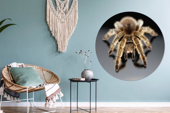 Close-up tarentule Cercle mural aluminium ⌀ 140 cm