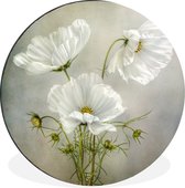 WallCircle - Wandcirkel - Muurcirkel - Bloemen - Stilleven - Klaproos - Wit - Botanisch - Aluminium - Dibond - ⌀ 140 cm - Binnen en Buiten