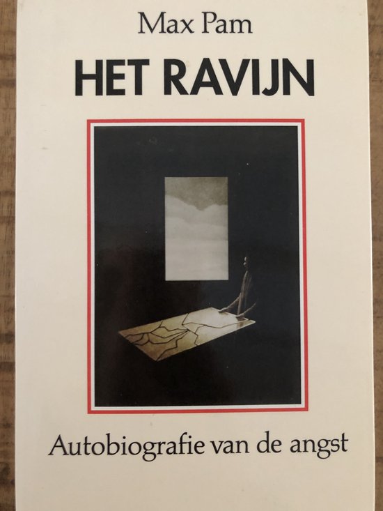 Cover van het boek 'Het ravijn' van Max Pam