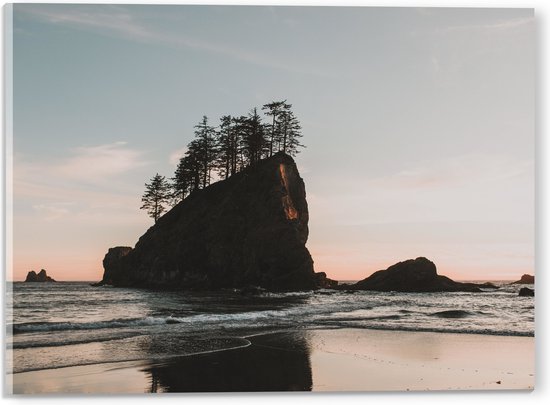 WallClassics - Acrylglas - Hoge Schuine Rots met Bomen - 40x30 cm Foto op Acrylglas (Wanddecoratie op Acrylaat)