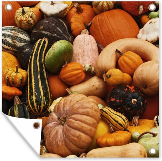 Tuinposter 100x100 cm - Tuindecoratie Pompoen - Herfst - Oranje - Poster voor in de tuin - Buiten decoratie - Schutting tuinschilderij - Tuindoek muurdecoratie - Wanddecoratie balkondoek