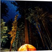 WallClassics - Dibond - Tentje onder de Bomen - 80x80 cm Foto op Aluminium (Met Ophangsysteem)