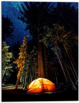 WallClassics - Dibond - Tentje onder de Bomen - 60x80 cm Foto op Aluminium (Met Ophangsysteem)