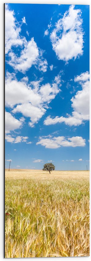 WallClassics - Dibond - Witte Schapenwolken boven Graslandschap - 30x90 cm Foto op Aluminium (Met Ophangsysteem)