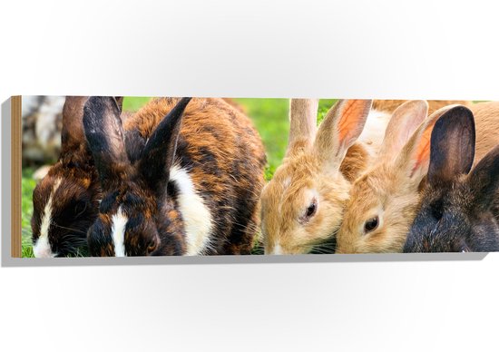 WallClassics - Bois - Lapins mangeant de l'herbe - 90 x 30 cm - Épaisseur 12 mm - Photo sur bois (avec système de suspension)