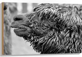 WallClassics - Hout - Natte Alpaca Zwart - Wit - 90x60 cm - 12 mm dik - Foto op Hout (Met Ophangsysteem)