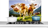 KitchenYeah - Spatscherm - Koeien - Gebergte - Alpen - Natuur - Dieren - Spatwand - 90x60 cm - Keuken decoratie - Spatscherm keuken - Achterwand keuken - Spatscherm koe