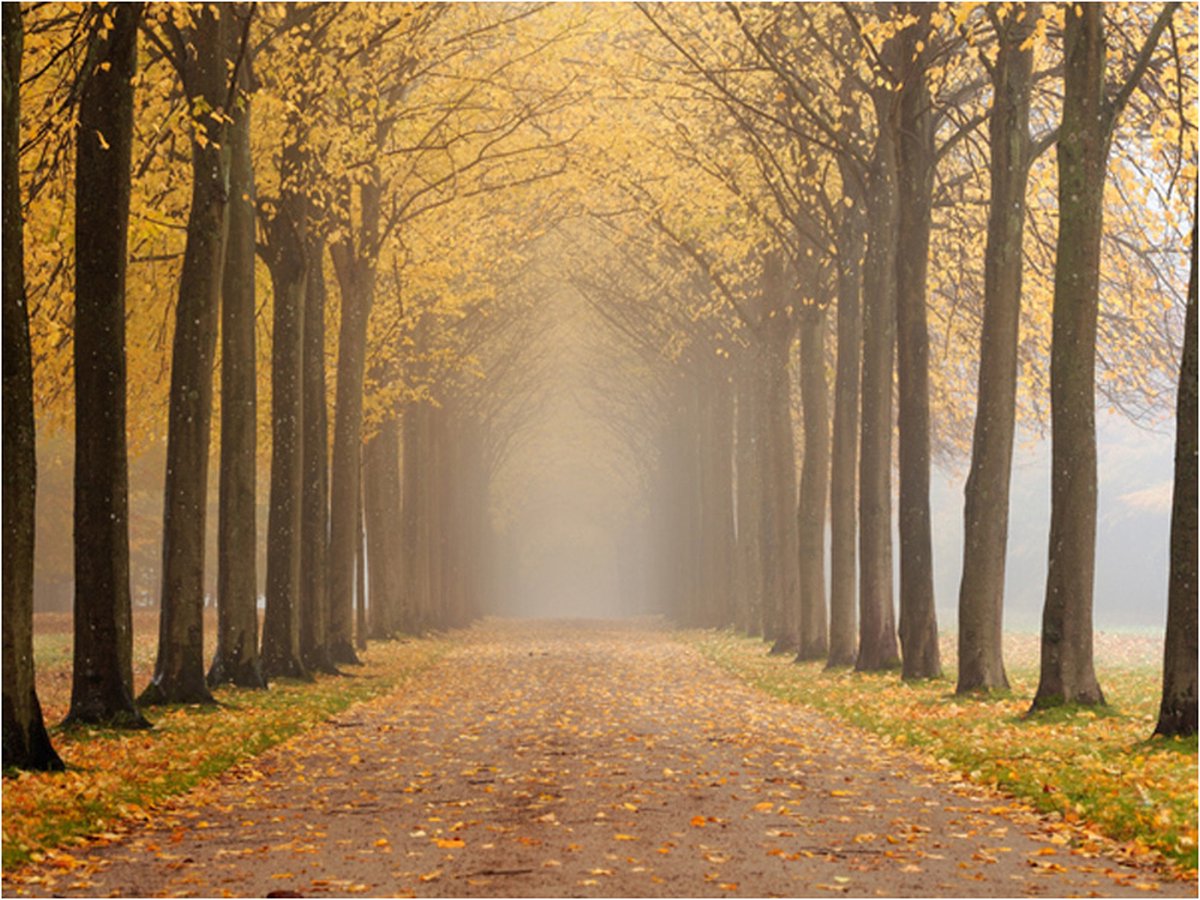 Fotobehang - Journey to the unknown.