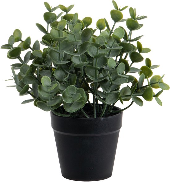 Louis Maes Eucalyptus artificiel - en pot - vert - H20 cm