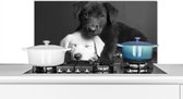 Spatscherm keuken 90x45 cm - Kookplaat achterwand Honden - Puppy - Zwart - Wit - Dieren - Muurbeschermer - Spatwand fornuis - Hoogwaardig aluminium