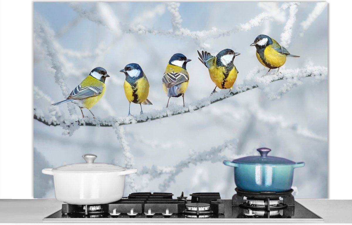Spatscherm keuken 120x80 cm - Kookplaat achterwand Vogel - Koolmees - Winter - Sneeuw - Takken - Muurbeschermer - Spatwand fornuis - Hoogwaardig aluminium
