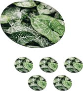 Onderzetters voor glazen - Rond - Bladeren - Planten - Natuur - 10x10 cm - Glasonderzetters - 6 stuks