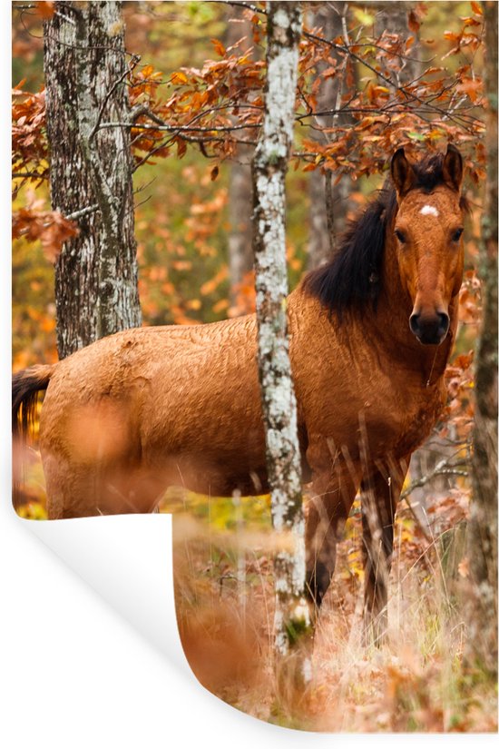 Stickers muraux - Cheval - Forêt - Marron - 80x120 cm - Feuille adhésive