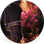 WallCircle - Wandcirkel ⌀ 90 - Paard - Zon - Portret - Ronde schilderijen woonkamer - Wandbord rond - Muurdecoratie cirkel - Kamer decoratie binnen - Wanddecoratie muurcirkel - Woonaccessoires