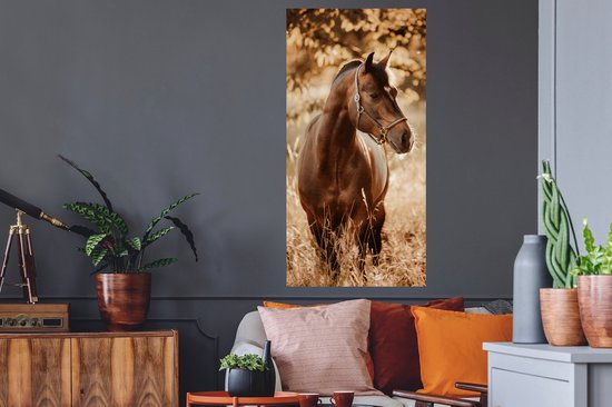 Stickers Stickers muraux - Cheval - Soleil - Portrait - 60x120 cm - Film adhésif