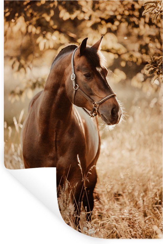 Sticker Muursticker Paarden - Portrait photo cheval dans la nature - 60x90 cm - Film adhésif autocollant - Sticker mural repositionnable