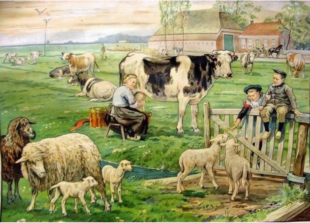 TOPMO - Ot en Sien Boerderij - Diamond painting pakket - HQ Diamond Painting - volledig dekkend - Diamant Schilderen – voor Volwassenen – ROND - 40 x 50 CM