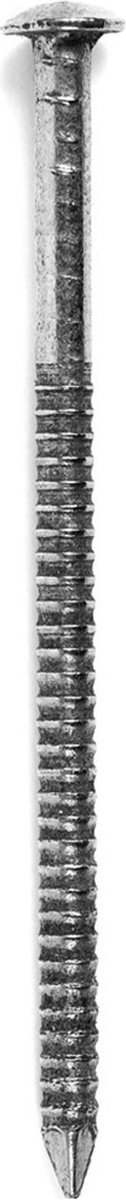 Ringnagel Bk 2,6X45Mm Rvs 1Kg